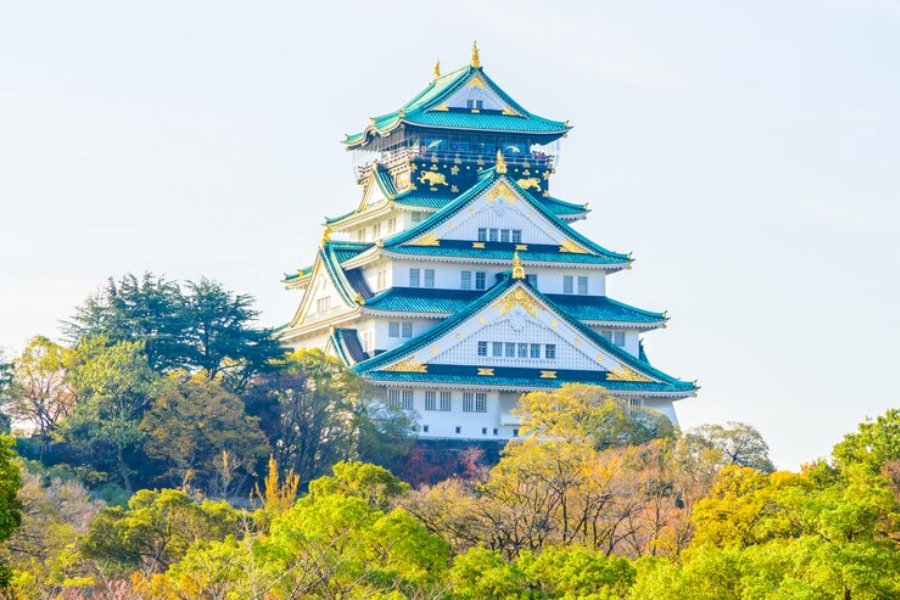 Tour Nhật Bản - Cung Đường Vàng